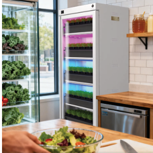 Home przechwytywanie