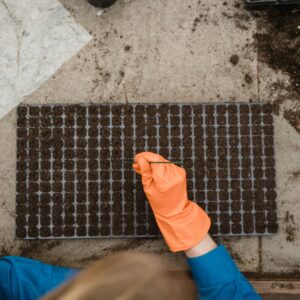 Home Top view of gardener with orange gloves planting seeds in a tray inside a greenhouse.